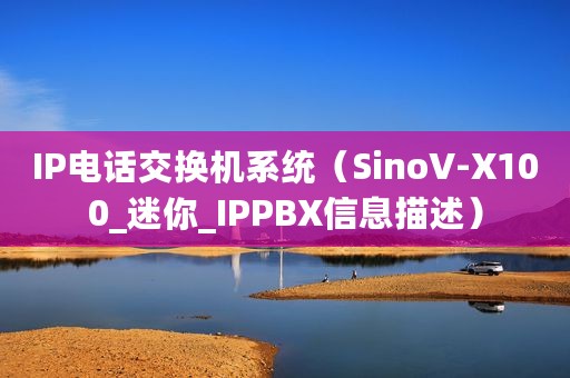 IP电话交换机系统（SinoV-X100_迷你_IPPBX信息描述）