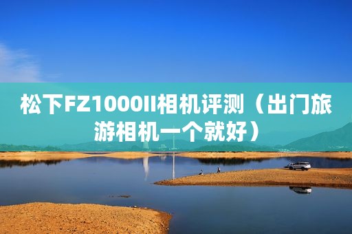 松下FZ1000II相机评测（出门旅游相机一个就好）
