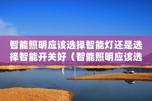 智能照明应该选择智能灯还是选择智能开关好（智能照明应该选择智能灯还是选择智能开关）