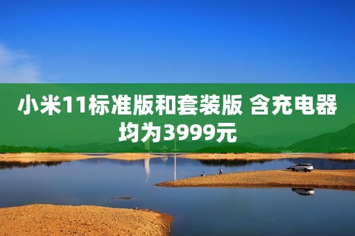 小米11标准版和套装版 含充电器均为3999元