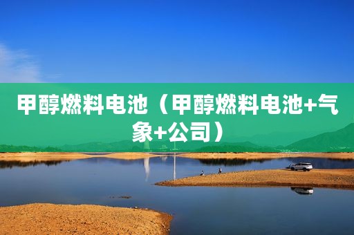 甲醇燃料电池（甲醇燃料电池+气象+公司）