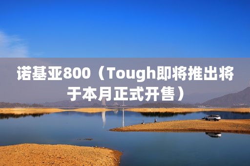 诺基亚800（Tough即将推出将于本月正式开售）