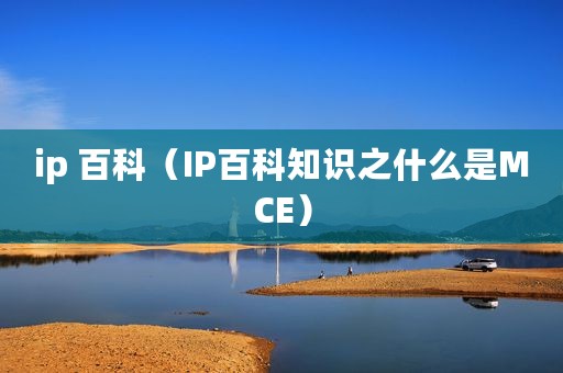 ip 百科（IP百科知识之什么是MCE）