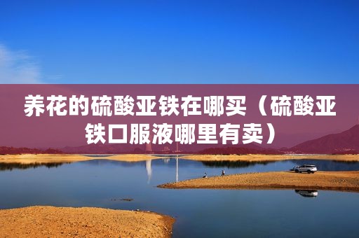 养花的硫酸亚铁在哪买（硫酸亚铁口服液哪里有卖）