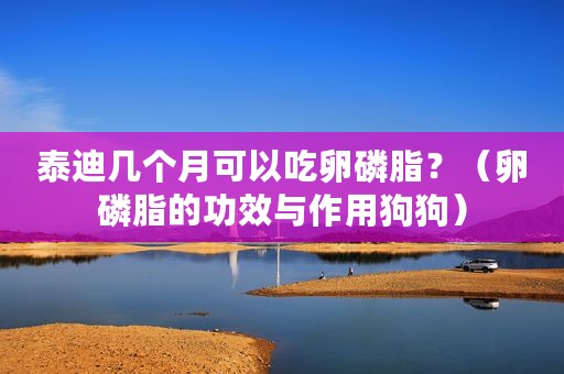 泰迪几个月可以吃卵磷脂？（卵磷脂的功效与作用狗狗）