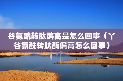 谷氨酰转肽酶高是怎么回事（丫谷氨酰转肽酶偏高怎么回事）