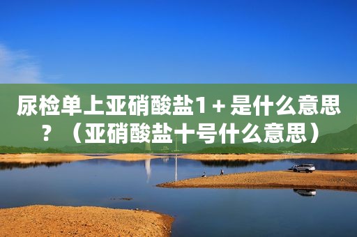 尿检单上亚硝酸盐1＋是什么意思？（亚硝酸盐十号什么意思）