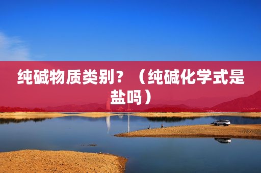 纯碱物质类别？（纯碱化学式是盐吗）