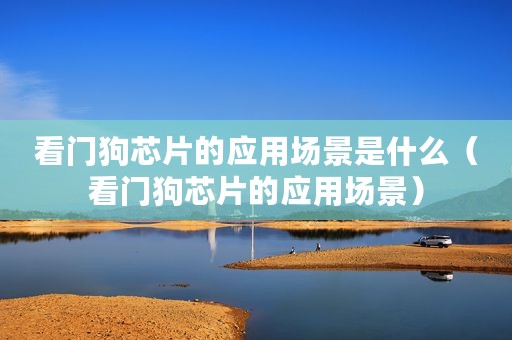看门狗芯片的应用场景是什么（看门狗芯片的应用场景）