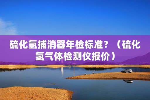 硫化氢捕消器年检标准？（硫化氢气体检测仪报价）
