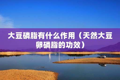 大豆磷脂有什么作用（天然大豆卵磷脂的功效）