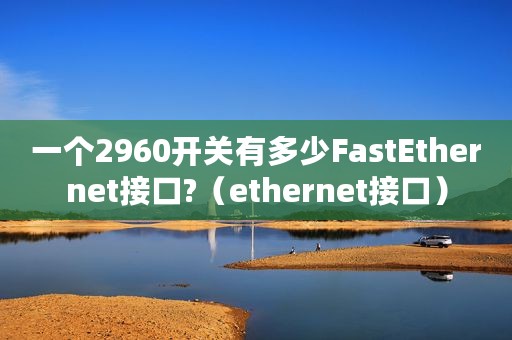一个2960开关有多少FastEthernet接口?（ethernet接口）