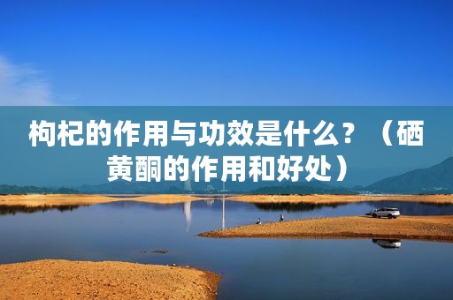 枸杞的作用与功效是什么？（硒黄酮的作用和好处）