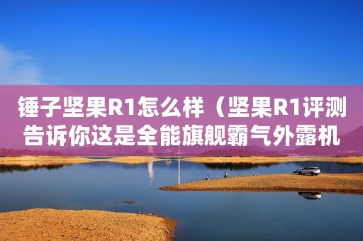锤子坚果R1怎么样（坚果R1评测告诉你这是全能旗舰霸气外露机）