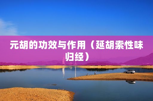 元胡的功效与作用（延胡索性味归经）
