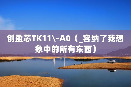 创盈芯TK11\-A0（_容纳了我想象中的所有东西）