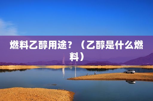 燃料乙醇用途？（乙醇是什么燃料）