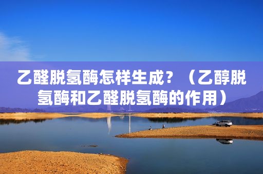 乙醛脱氢酶怎样生成？（乙醇脱氢酶和乙醛脱氢酶的作用）