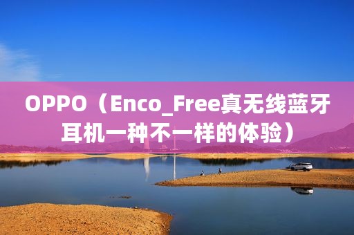 OPPO（Enco_Free真无线蓝牙耳机一种不一样的体验）