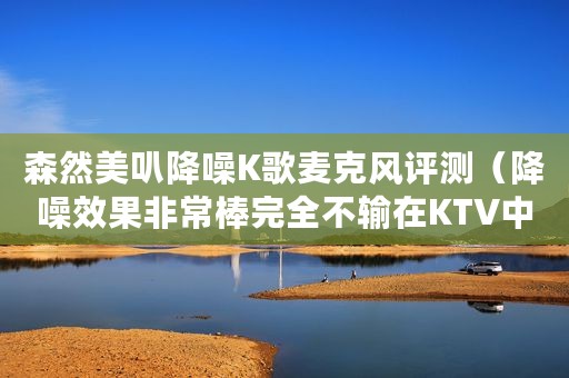 森然美叭降噪K歌麦克风评测（降噪效果非常棒完全不输在KTV中的K歌效果）