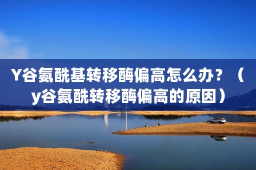 Y谷氨酰基转移酶偏高怎么办？（y谷氨酰转移酶偏高的原因）