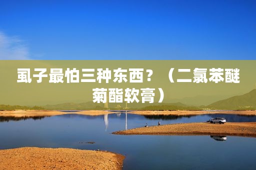 虱子最怕三种东西？（二氯苯醚菊酯软膏）