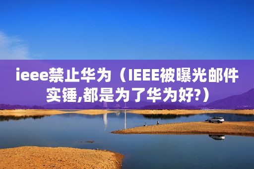 ieee禁止华为（IEEE被曝光邮件实锤,都是为了华为好?）