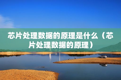 芯片处理数据的原理是什么（芯片处理数据的原理）