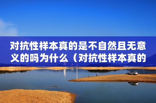 对抗性样本真的是不自然且无意义的吗为什么（对抗性样本真的是不自然且无意义的吗）