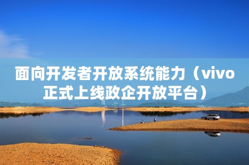 面向开发者开放系统能力（vivo正式上线政企开放平台）