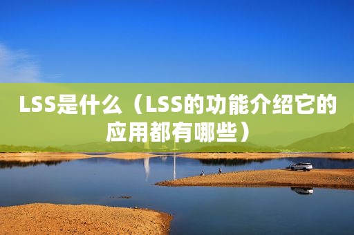 LSS是什么（LSS的功能介绍它的应用都有哪些）
