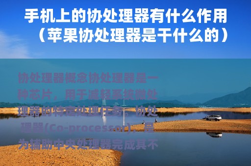 手机上的协处理器有什么作用（苹果协处理器是干什么的）