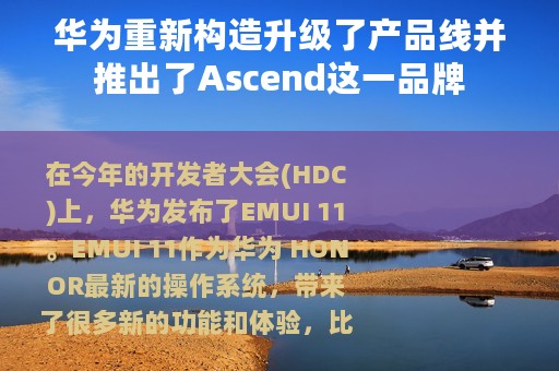 华为重新构造升级了产品线并推出了Ascend这一品牌