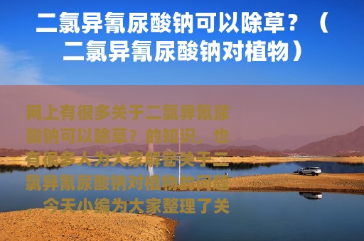 二氯异氰尿酸钠可以除草？（二氯异氰尿酸钠对植物）