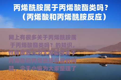 丙烯酰胺属于丙烯酸酯类吗？（丙烯酸和丙烯酰胺反应）