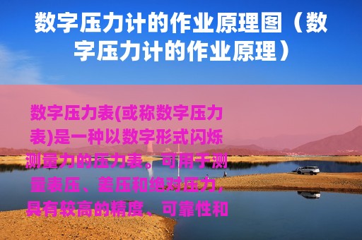 数字压力计的作业原理图（数字压力计的作业原理）
