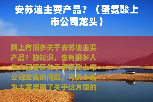 安苏迪主要产品？（蛋氨酸上市公司龙头）