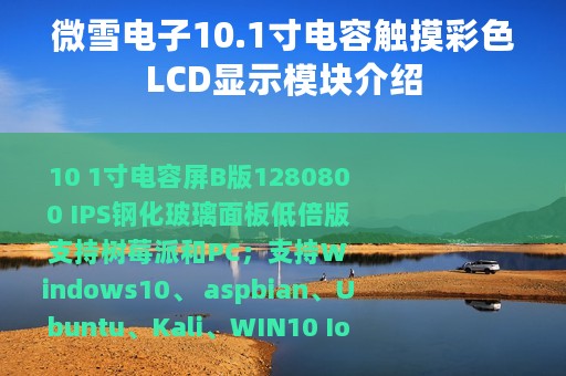 微雪电子10.1寸电容触摸彩色LCD显示模块介绍