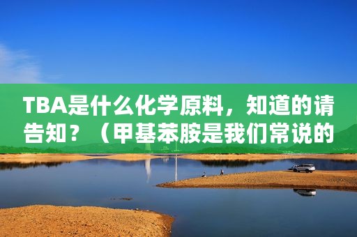 TBA是什么化学原料，知道的请告知？（甲基苯胺是我们常说的什么）
