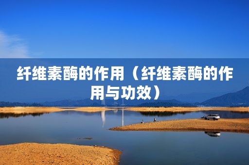 纤维素酶的作用（纤维素酶的作用与功效）