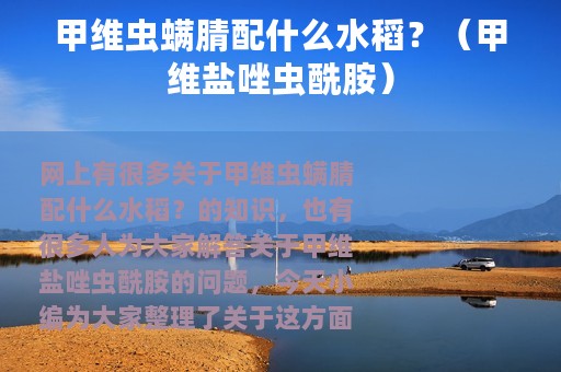 甲维虫螨腈配什么水稻？（甲维盐唑虫酰胺）