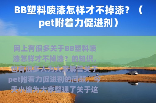 BB塑料喷漆怎样才不掉漆？（pet附着力促进剂）