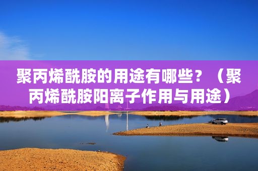 聚丙烯酰胺的用途有哪些？（聚丙烯酰胺阳离子作用与用途）