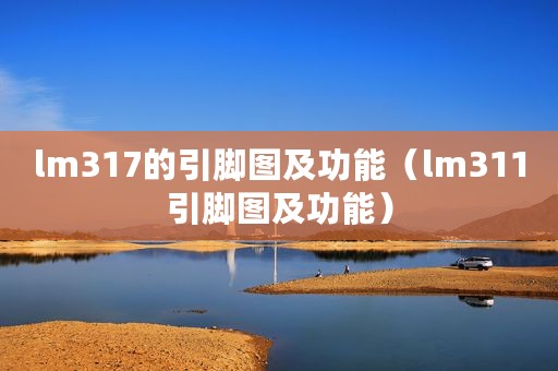 lm317的引脚图及功能（lm311引脚图及功能）