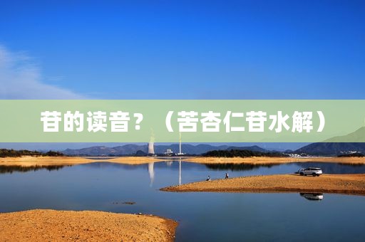 苷的读音？（苦杏仁苷水解）
