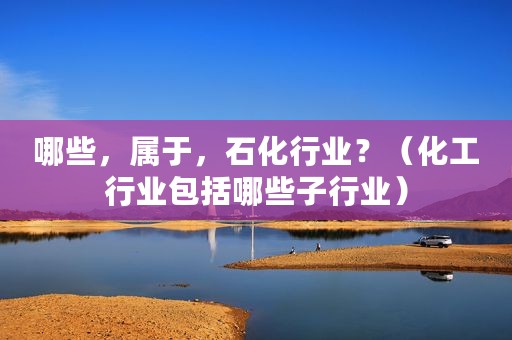 哪些，属于，石化行业？（化工行业包括哪些子行业）