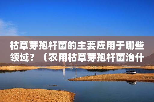 枯草芽孢杆菌的主要应用于哪些领域？（农用枯草芽孢杆菌治什么病）