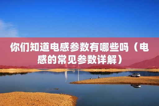 你们知道电感参数有哪些吗（电感的常见参数详解）