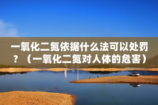 一氧化二氮依据什么法可以处罚？（一氧化二氮对人体的危害）