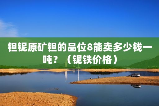 钽铌原矿钽的品位8能卖多少钱一吨？（铌铁价格）